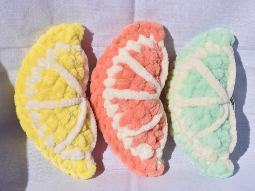 Fruit slice Keychains