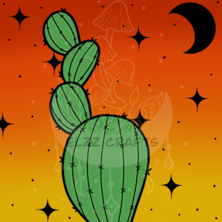 Cactus Sunset Print